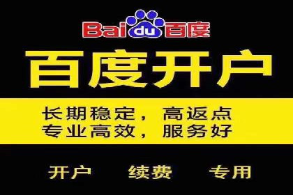 行业领先企业的SEM优化之路